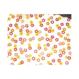 Carta TRASPARENTE 50x70 cm. 110 gr.