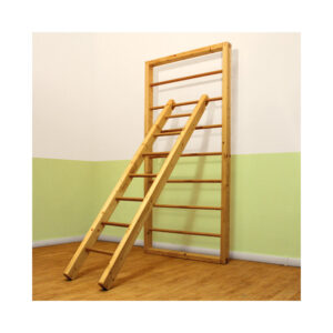 Palestra e Scale per Pareti