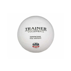 Pallone da Volley