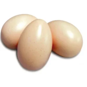 Busta 50 Uova Colore Naturale