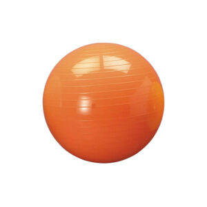 Palle Ginnico-Terapeutiche