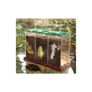 Compostiera/Vivarium