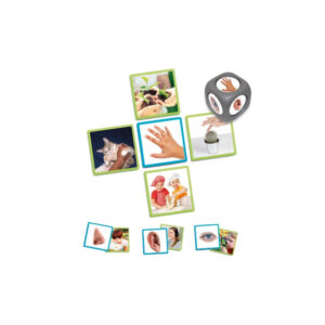 Gioco dei 5 Sensi con Dado