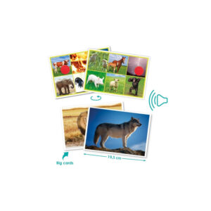 Tombola Sonora degli Animali