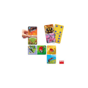 Domino degli Insetti