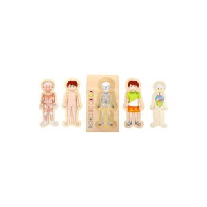 Puzzle a Strati "Scopri il Tuo Corpo"