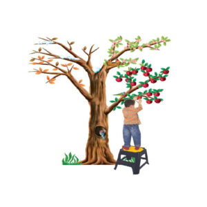 Albero delle Stagioni