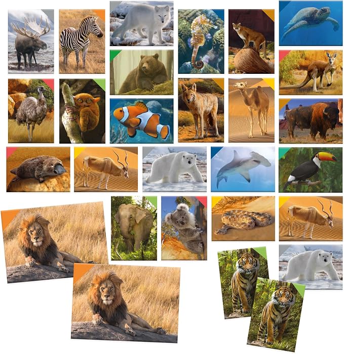 Memorix 108 Animal Cards - immagine 2